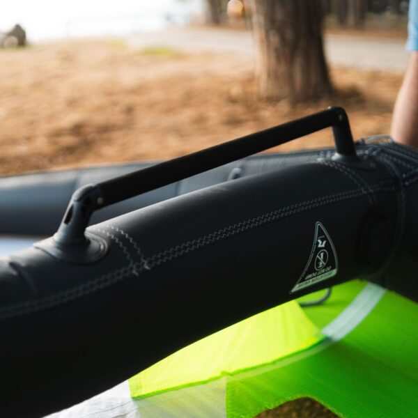 Reptile Bora wing