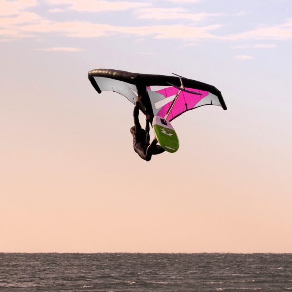 Reptile Bora wing