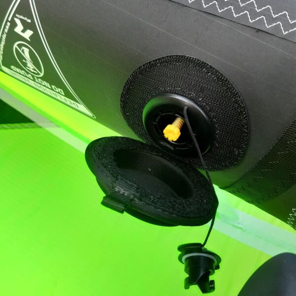 Reptile Bora wing