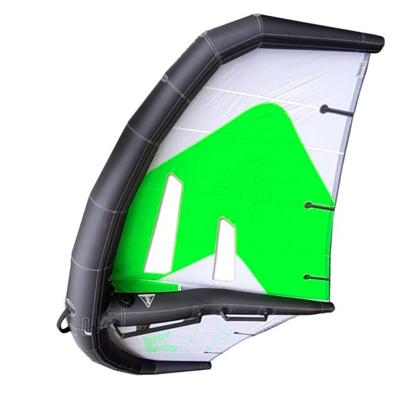 Reptile Bora wing